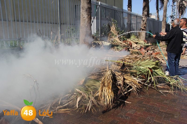 fire 7ekma 0212 (7).JPG